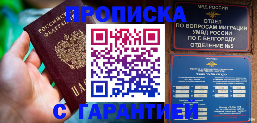 прописка для работы в Чудово